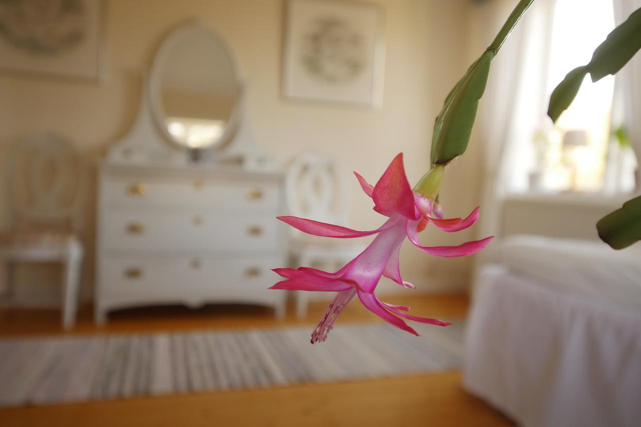 Groena Anaes Bed and Breakfast ostra Loa Εξωτερικό φωτογραφία